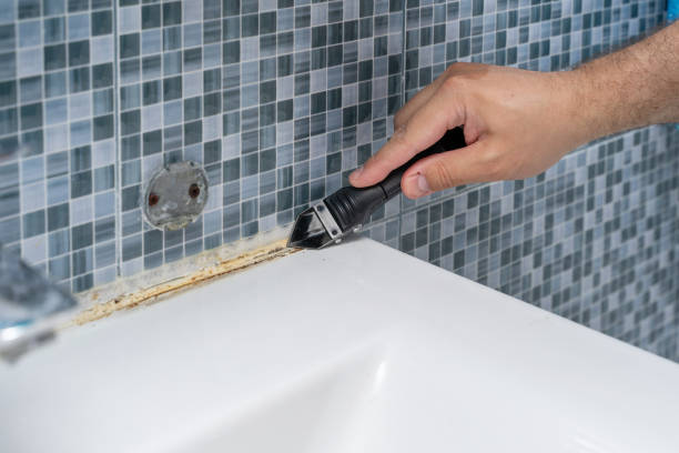 Best Mold Testing  in Lemon Grove, CA